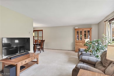 5725 Elm Hill Dr, Solon, OH 44139 - photo 5