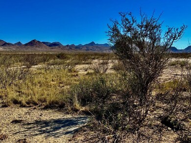 TR:9037 Highlander Ave, Terlingua, TX 79852 - photo 2