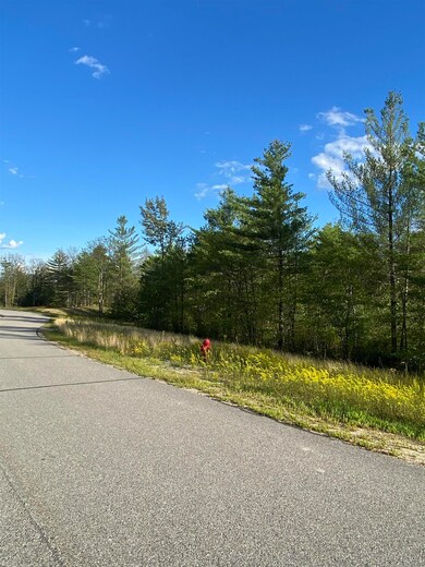 87 Grandview Rd, Conway, NH 03860 - photo 5