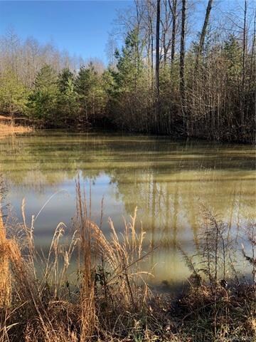 439 Christopher Rd, Shelby, NC 28152 - photo 6