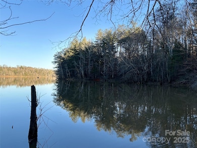 Views from the Shoreline