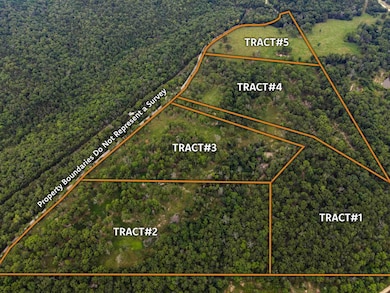 000 Barton Rd, Cedar Creek Township, MO 65627 - photo 2