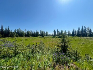 Reclaimed gravel pit