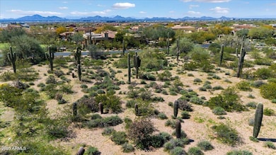 9290 E Thompson Peak Pkwy unit 401, Scottsdale, AZ 85255 - photo 7