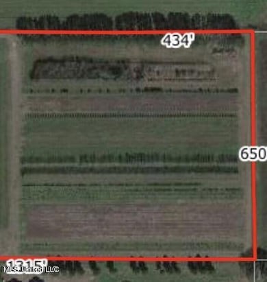 19.28ac Cooks Corner Rd, Lucedale, MS 39452 - photo 3