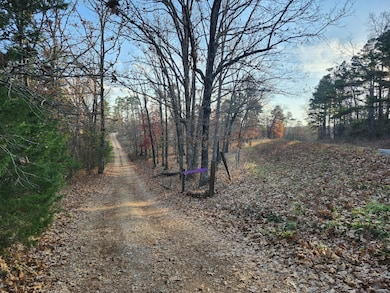 43565 St Highway 181-Pvt Dr-B, Vanzant, MO 65768 - photo 4