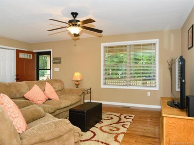 1595 Bear Creek Rd, Leicester, NC 28748 - photo 3