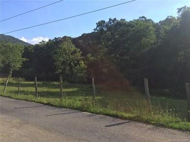 69 Smith Rd, Leicester, NC 28748 - photo 6