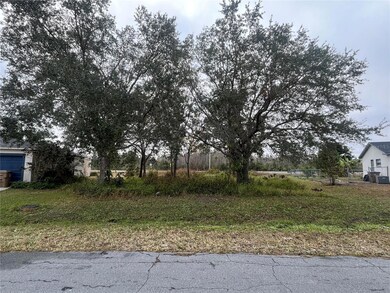 0 St Tropez Ct unit MFROK224801, Kissimmee, FL 34759 - photo 2