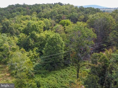 0 Lot 2 Sleepywoods Rd, Cross Junction, VA 22625 - photo 5