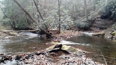 0 Whites Creek Rd unit 8-7993, Unamis, PA 15424 - photo 2