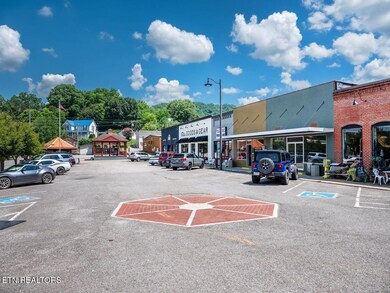 0 1 Cherohala Skyway unit 1323018, Tellico Plains, TN 37385 - photo 5