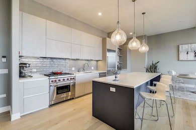 2405 W Iowa St unit 405, Chicago, IL 60622 - photo 6