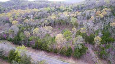 DJI_0371