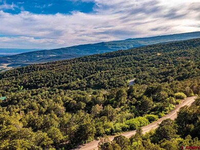 20101 Squirrel Rock Rd, Cedaredge, CO 81413 - photo 5