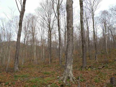 0 Happy Hollow Rd unit 4618716, Huntington, VT 05462 - photo 6