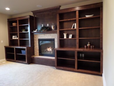 Icy Bay Built-ins