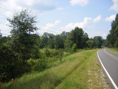 DSCF2061