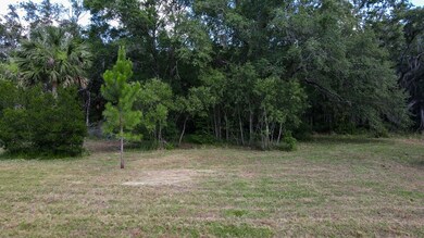 1351 Oak Pond Cir, Steinhatchee, FL 32359 - photo 7