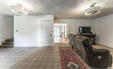 429 N Mclean St, Lincoln, IL 62656 - photo 6