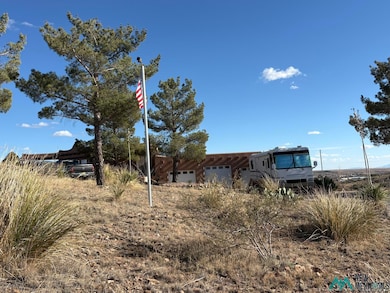 521 E Trailing Heart Dr, Silver City, NM 88061 - photo 4