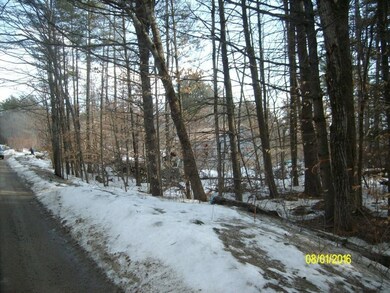 Lot 44 Spur Rd, Cornish, ME 04103 - photo 7
