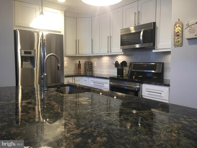 42289 Onyx Terrace unit 703, Stone Ridge, VA 20105 - photo 4