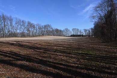 55824 County Line Rd, New Carlisle, IN 46552 - photo 4