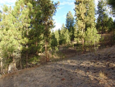 10 Rehn Loop unit 1, Cascade, ID 83611 - photo 7