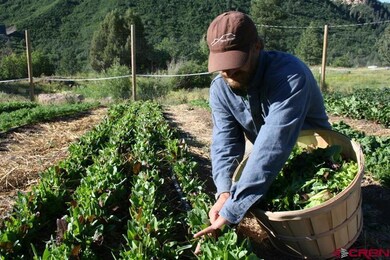 0 Yucca Ct unit 729683, Durango, CO 81301 - photo 7
