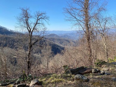 Potential Views from Cowee Mountain