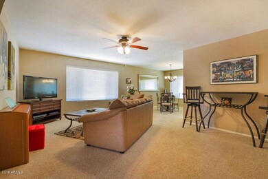 Living & Dining Area
