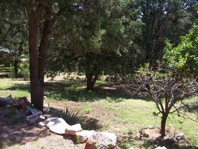 501 N Briarwood Rd, Payson, AZ 85541 - photo 5