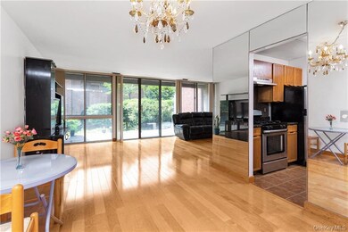 150 N Bedford Rd unit 5A, Chappaqua, NY 10514 - photo 6