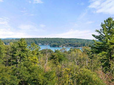 75 Treetop Cir unit 32, Laconia, NH 03246 - photo 3