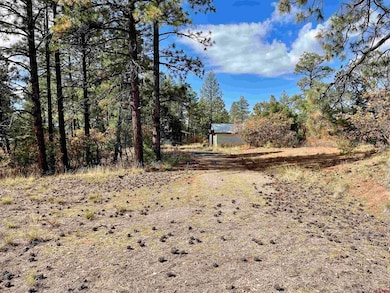 307 Deer Trail Rd, Durango, CO 81303 - photo 2