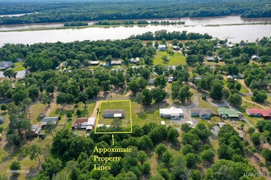 710 Sand Island Dr, Camden, AL 36726 - photo 6