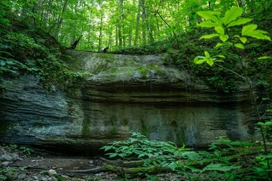 502/Ac TBD Gregory Rd, Sneedville, TN 37869 - photo 5