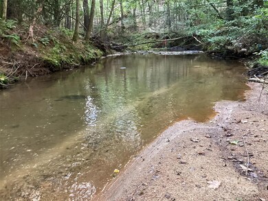 00 Scenic Ln unit 186, Granite Falls, NC 28630 - photo 7