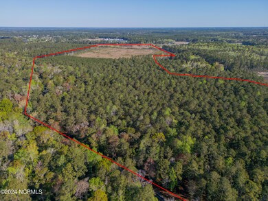 624 Blackwater Dr SW, Calabash, NC 28467 - photo 5