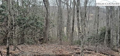 Lot 3 Raven Rock Dr, Boone, NC 28607 - photo 4