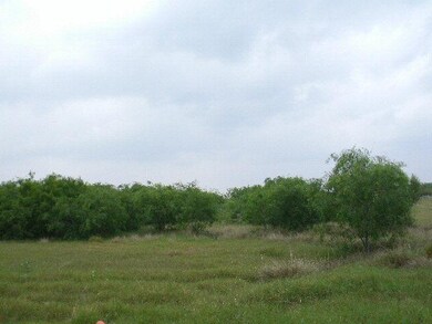 0 Mile 13 N, Progreso Lakes, TX 78596 - photo 3