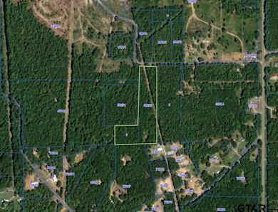 TBD County Road 169d, Kilgore, TX 75662 - photo 6