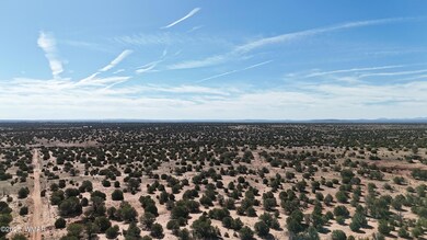 DJI_20250523083434_0001_D