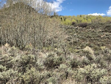 Aspen and sagebrush