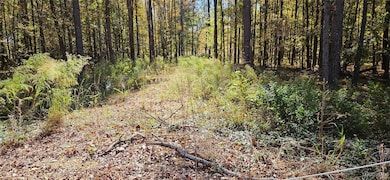 411 Pugh Rd, Mathews, AL 36052 - photo 4