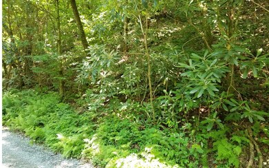 Additional View