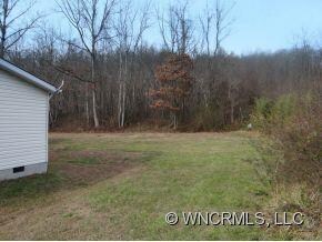 16 Lynn Estate Rd, Hendersonville, NC 28792 - photo 4