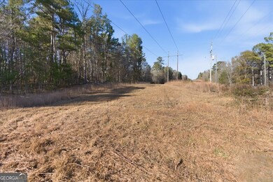 469 Lee Williams Rd, Carrollton, GA 30117 - photo 7