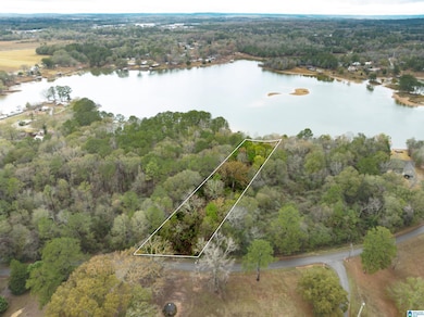 0 Annesley Dr unit 21438186, Pell City, AL 35128 - photo 3